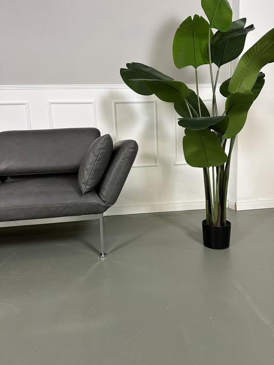 Image 1 of Brühl Roro Medium Leder Sofa Slaapfunctie Bank Aniline