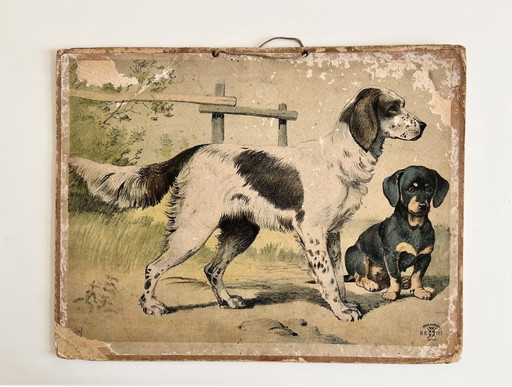 Antik Schoolkaart Illustratie, Karton, Dubbelzijdig, Kat/Kitten En Hond/Puppy, Litho, Boerderij, Shabby Chic