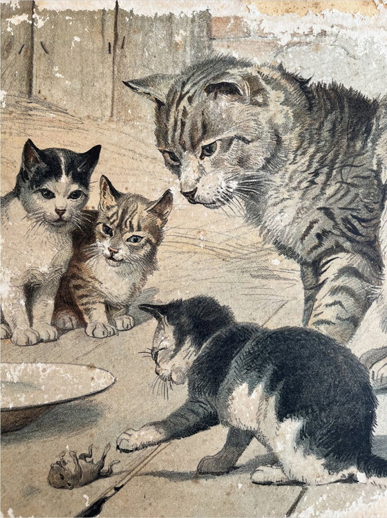 Image 1 of Antik Schoolkaart Illustratie, Karton, Dubbelzijdig, Kat/Kitten En Hond/Puppy, Litho, Boerderij, Shabby Chic