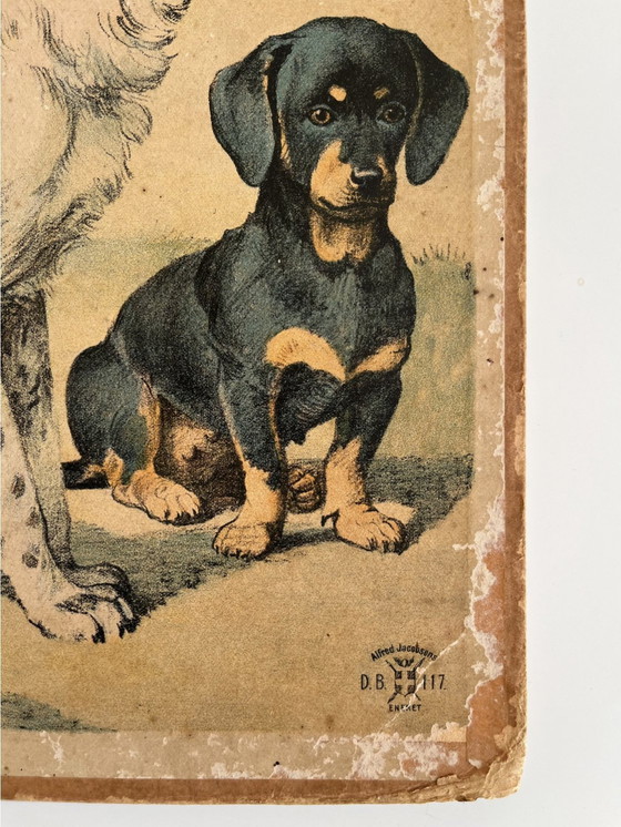Image 1 of Antik Schoolkaart Illustratie, Karton, Dubbelzijdig, Kat/Kitten En Hond/Puppy, Litho, Boerderij, Shabby Chic