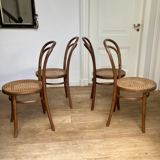 Image 1 of 4X Thonet No. 14 Van Radomsko