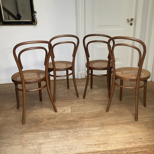 4X Thonet No. 14 Van Radomsko