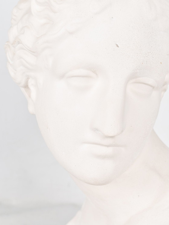 Image 1 of Buste of Aphrodite