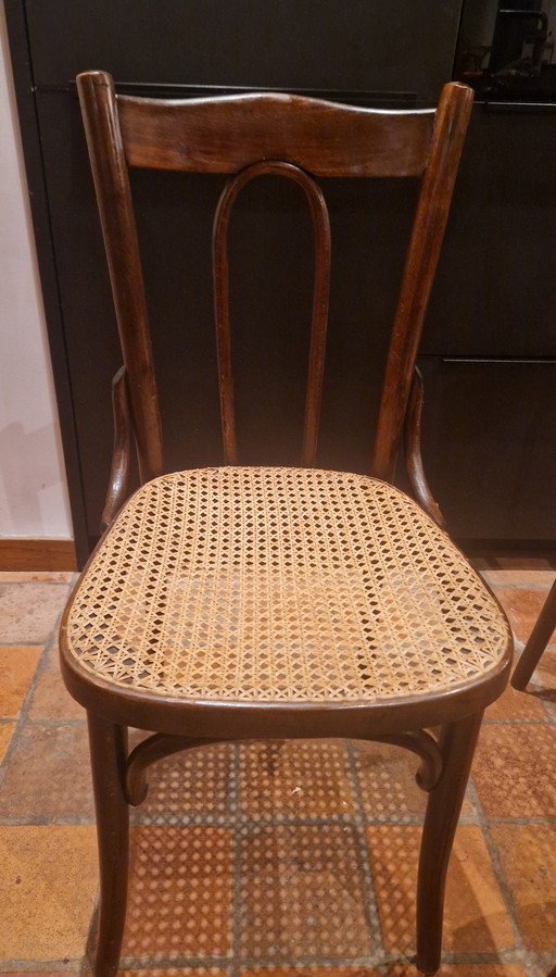 5X Thonet Bistrostoel Nr. 206 bentwood