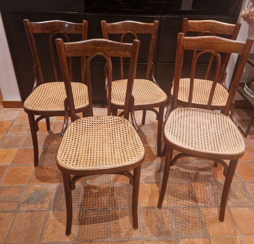 5X Thonet Bistrostoel Nr. 206 bentwood