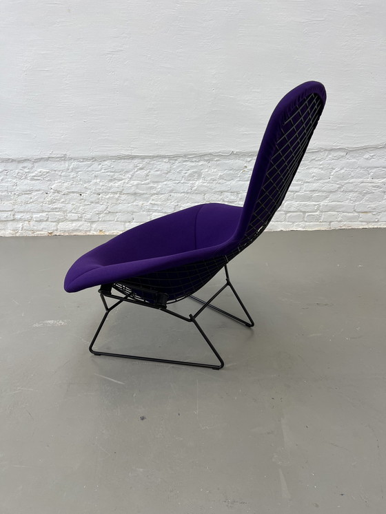 Image 1 of Knoll Internationale Vogelstoel Harry Bertoia