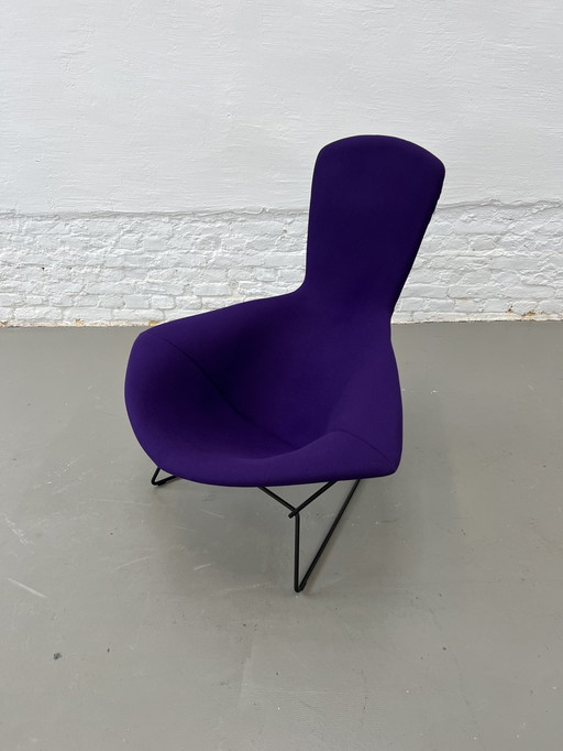 Knoll Internationale Vogelstoel Harry Bertoia