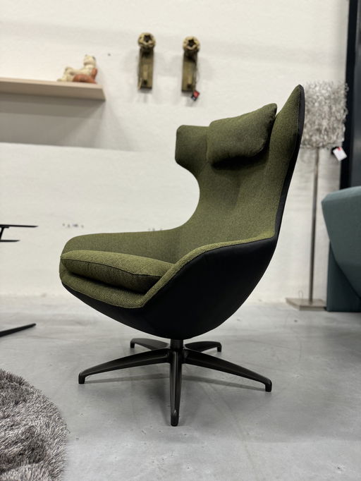 Leolux Caruzzo Relaxfauteuil Groen Zwart 