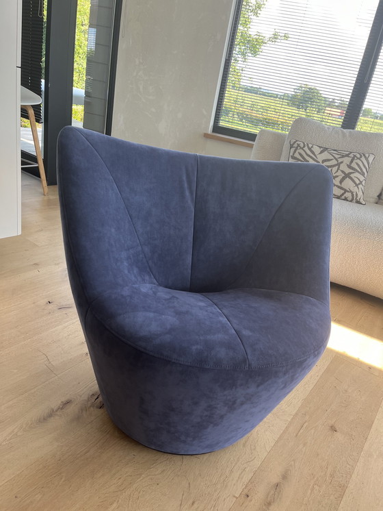 Image 1 of Ligne Roset Alcantata Fauteuil Blauw Mauve Nieuw