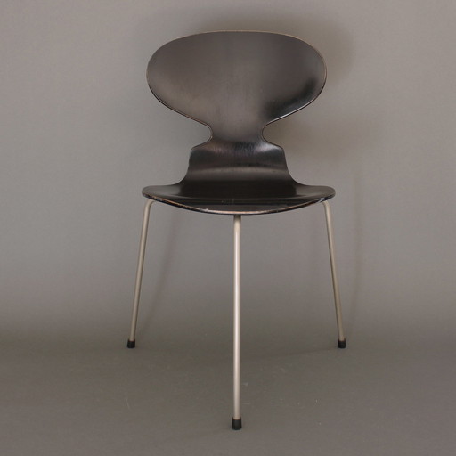 Arne Jacobsen (1902-1971) - Model 3100 - De Mier - Fritz Hansen, Denmark