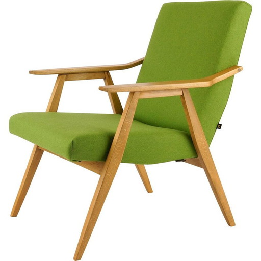 Vintage fauteuil met levendige kleuren, Tsjecho-Slowakije 1960