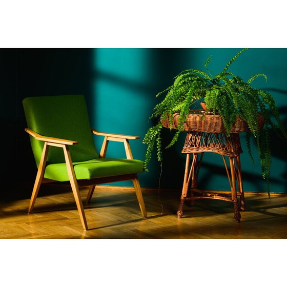 Image 1 of Vintage fauteuil met levendige kleuren, Tsjecho-Slowakije 1960
