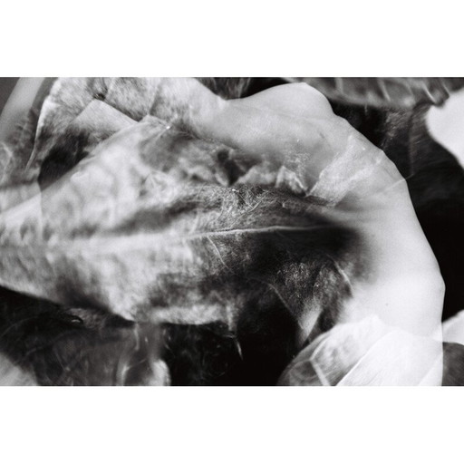 Vintage schilderij natural movements 05 door Meïdhy Bichon, 2019