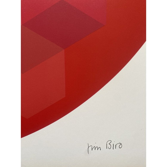 Image 1 of Vintage fotolithografie "Tribute to Vasarely" door Jim Bird voor Poligrafa, Barcelona 1970