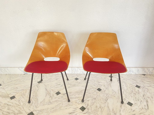 Paar kuipstoelen van Pierre Guariche voor Steiner, jaren 50.
