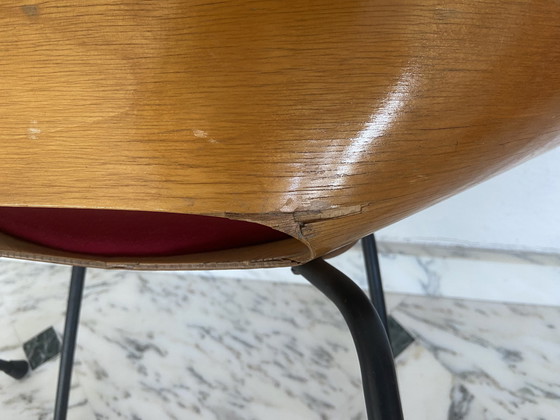 Image 1 of Paar kuipstoelen van Pierre Guariche voor Steiner, jaren 50.