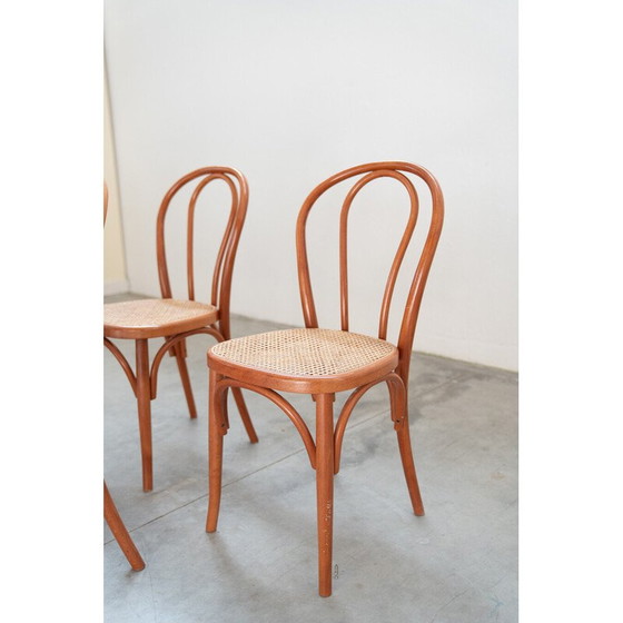 Image 1 of Set van 34 vintage stoelen van gebogen beukenhout en rieten zittingen, 2000