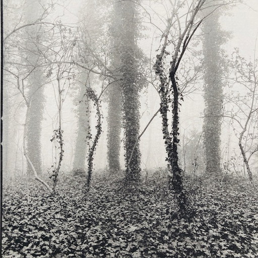 Ralph Janowski - fotoprint zonder titel