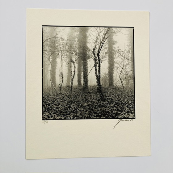 Image 1 of Ralph Janowski - fotoprint zonder titel