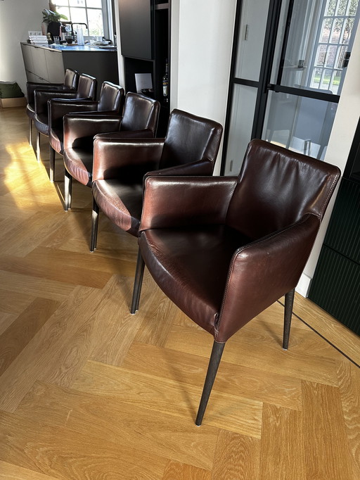 6x Label van den berg stoelen