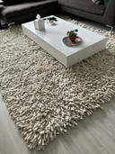 Everest carpet