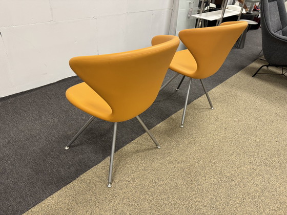 Image 1 of 2 Tonon Concept stoelen Oranje 