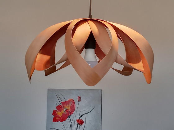 Image 1 of  Design appelhout hanglamp