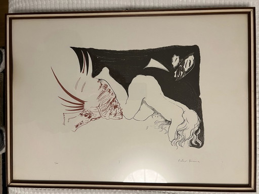 Pietro Diana - litho 3/500