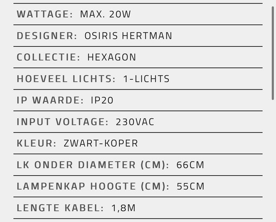 Image 1 of Osiris Hertman Hexagon hanglamp