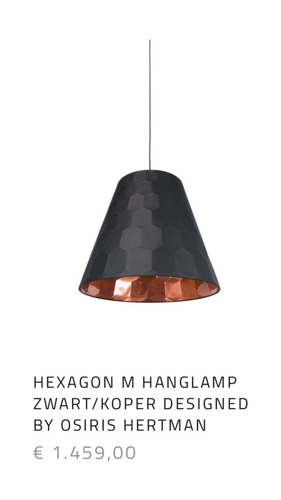 Image 1 of Osiris Hertman Hexagon hanglamp