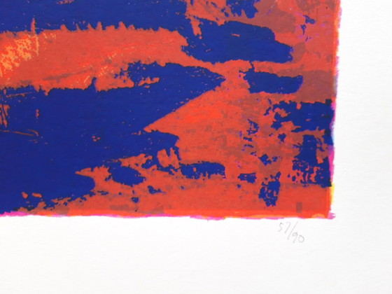 Image 1 of Carlos Blaaker cheetak zeefdruk