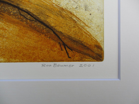 Image 1 of Ronald Beumer - Tak zomer