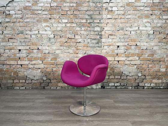 Image 1 of Artifort Little Tulip - fauteuil