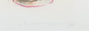 Prachtige litho  Henk Vierveijzer