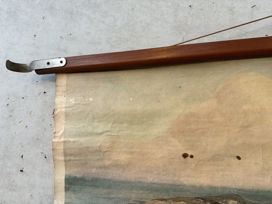 Image 1 of Vintage linnen schoolkaart ‘zeehonden’