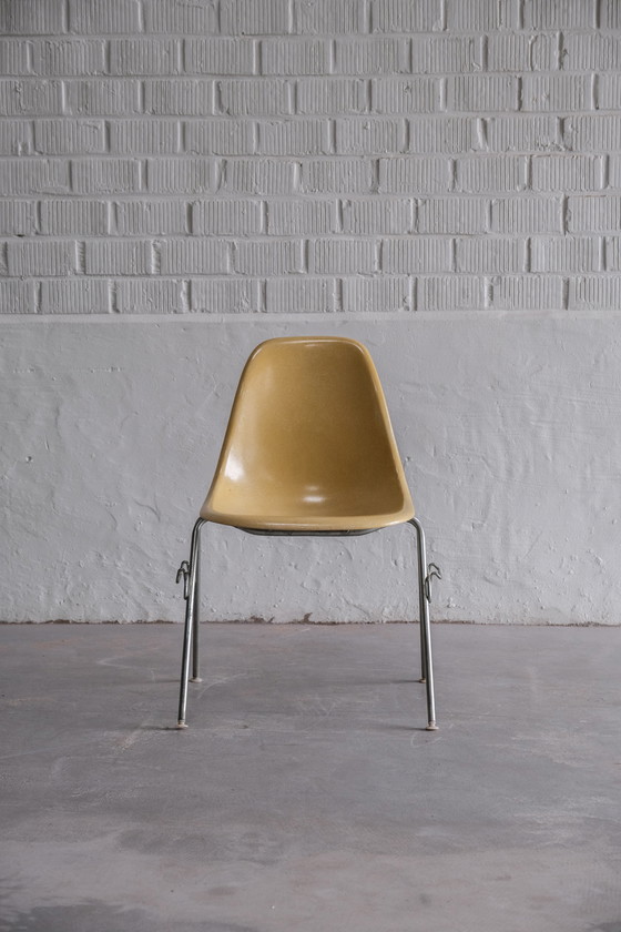 Image 1 of 6x Herman Miller Eames DSS stoel