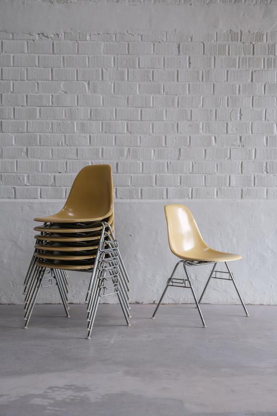 Image 1 of 6x Herman Miller Eames DSS stoel