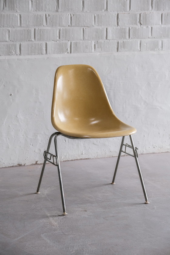 Image 1 of 6x Herman Miller Eames DSS stoel