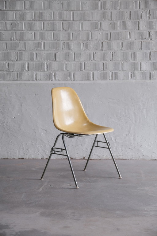 6x Herman Miller Eames DSS stoel