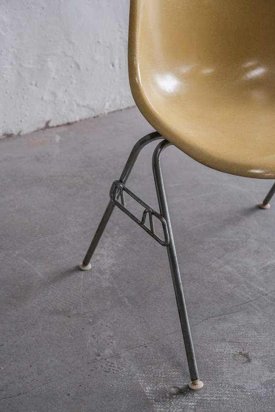 Image 1 of 6x Herman Miller Eames DSS stoel