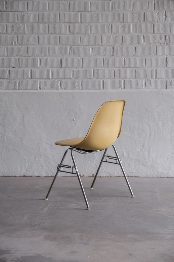 Image 1 of 6x Herman Miller Eames DSS stoel