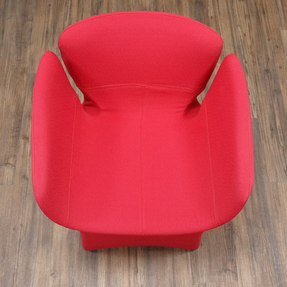 Image 1 of MOROSO | Bloesem | Fauteuils | bloemen stoel