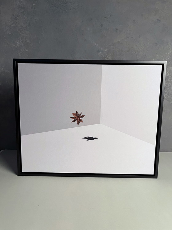 Image 1 of Jeroen Luijt - Star Anise