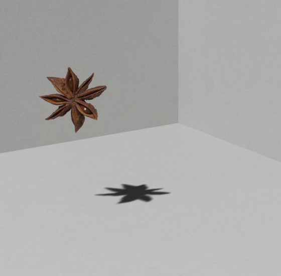 Image 1 of Jeroen Luijt - Star Anise