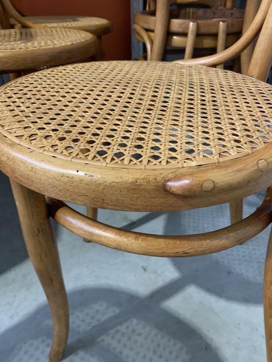 Image 1 of 6x Thonet vintage stoelen