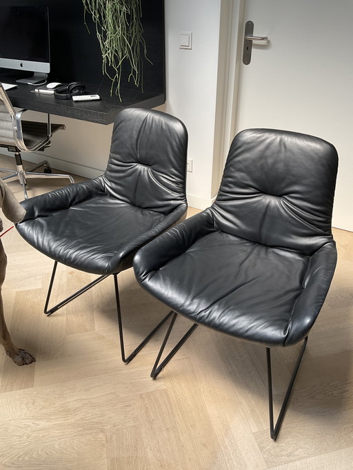 2x Freifrau Leya eetkamerstoel