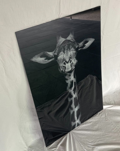 Giraffe wanddecoratie