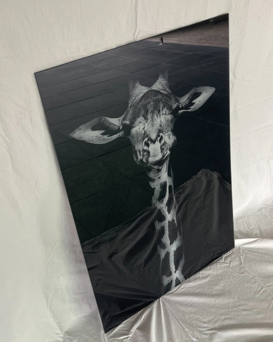 Image 1 of Giraffe wanddecoratie