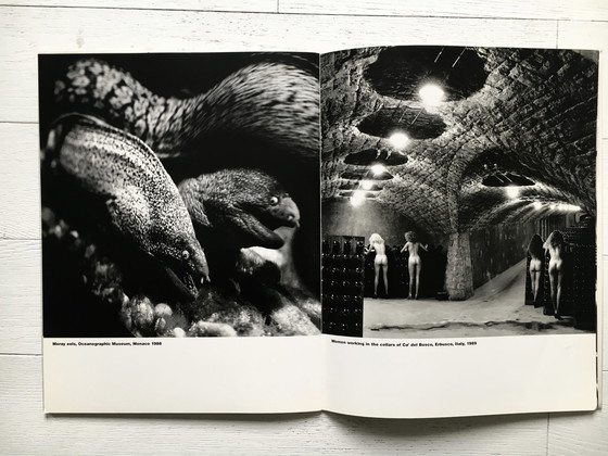 Image 1 of Helmut Newton's Illustrated No. 3, gesigneerd boek