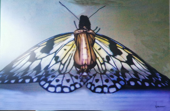 Image 1 of Johan van Dreven - Butterfly